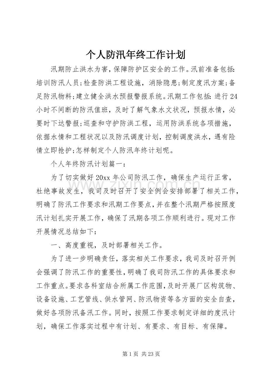 个人防汛年终工作计划.docx_第1页