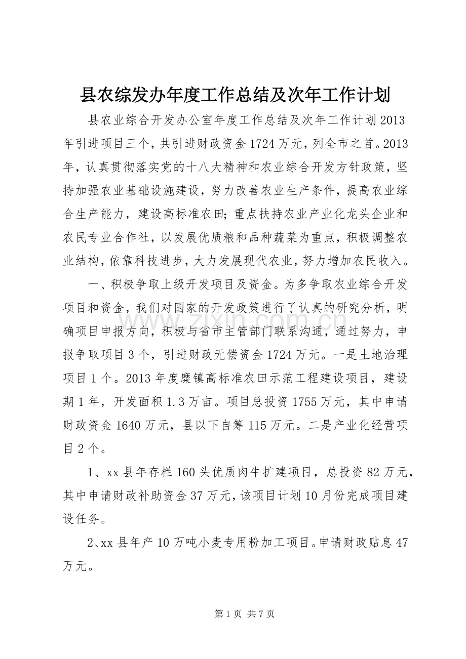 县农综发办年度工作总结及次年工作计划.docx_第1页