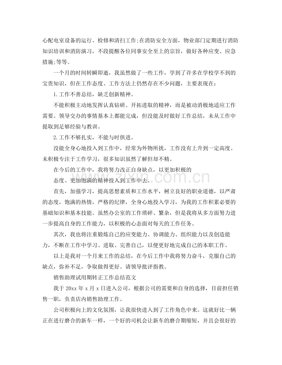 销售助理试用期转正工作总结 .docx_第2页