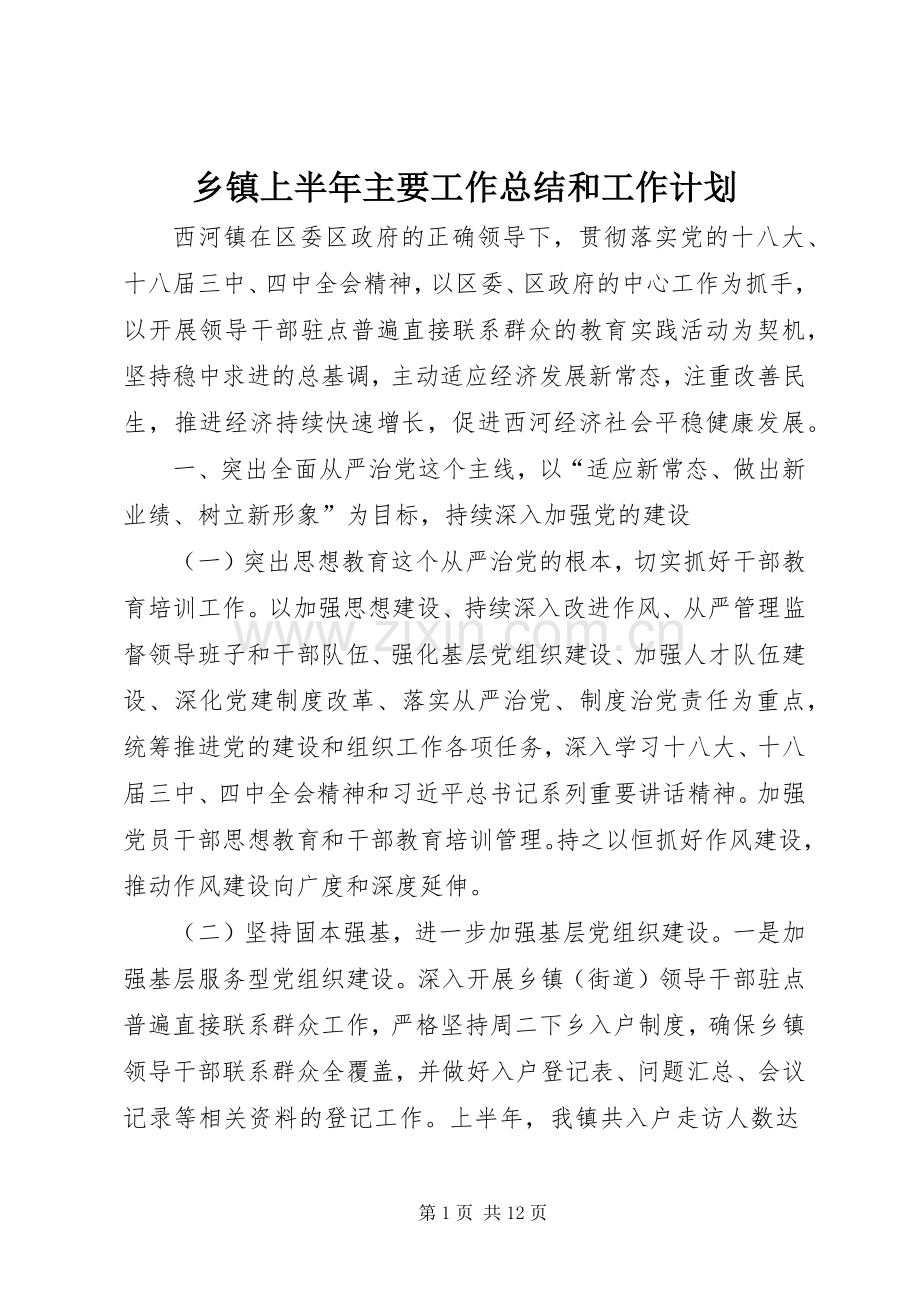 乡镇上半年主要工作总结和工作计划.docx_第1页