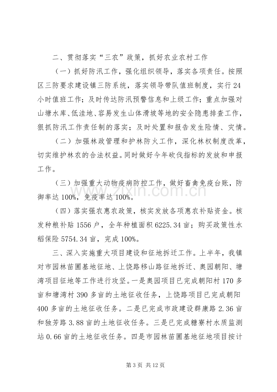 乡镇上半年主要工作总结和工作计划.docx_第3页