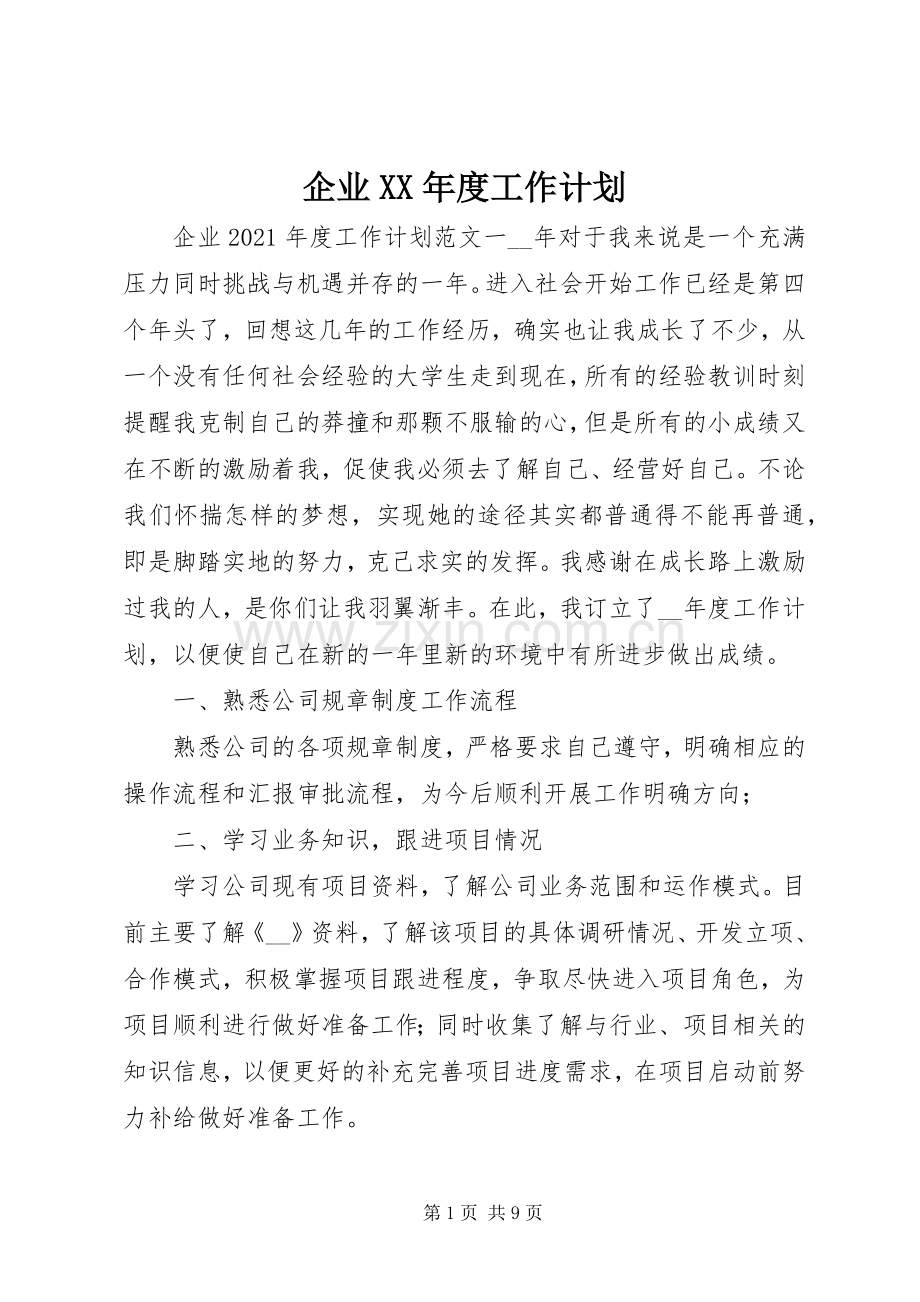 企业XX年度工作计划.docx_第1页