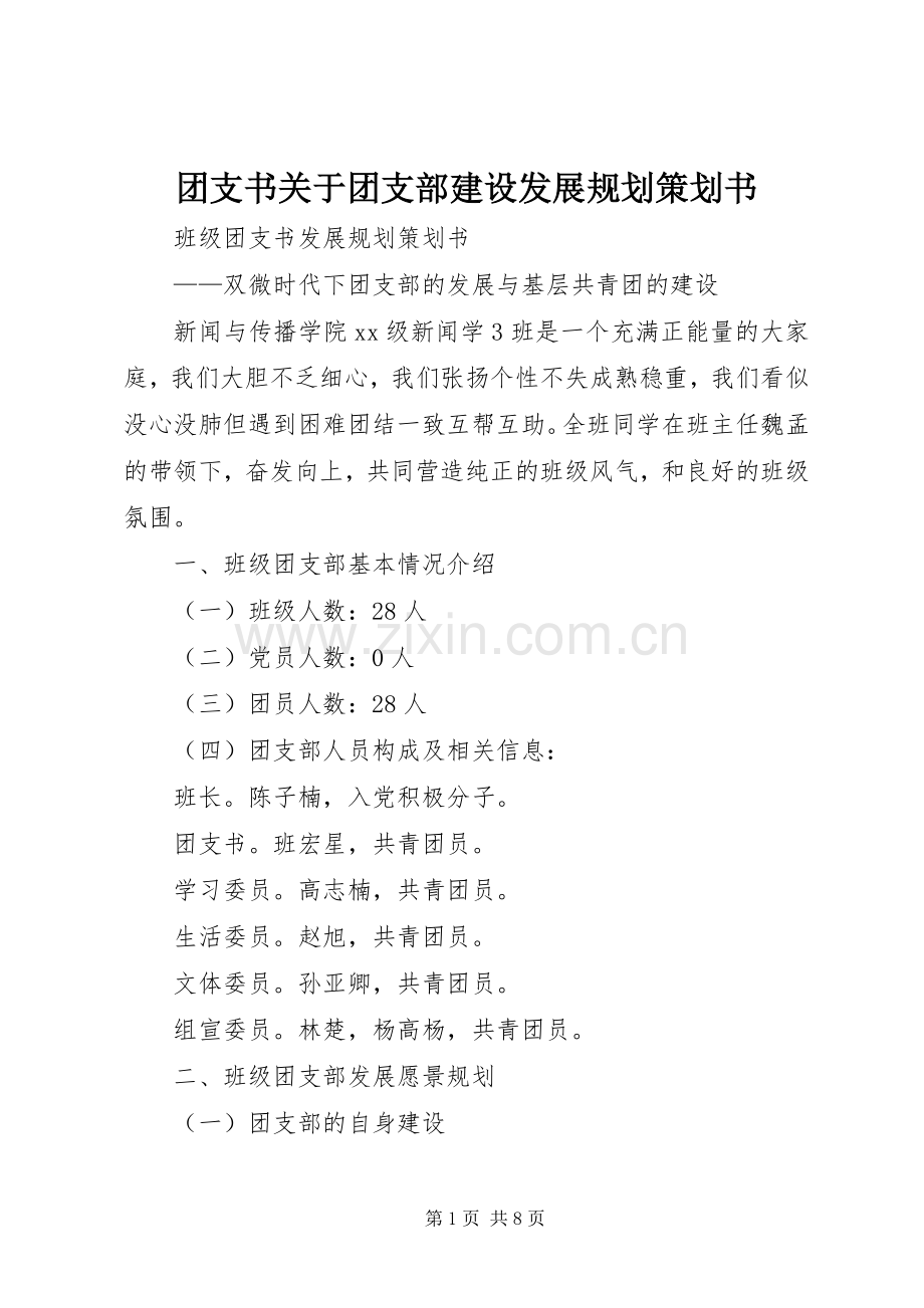 团支书关于团支部建设发展规划策划书.docx_第1页