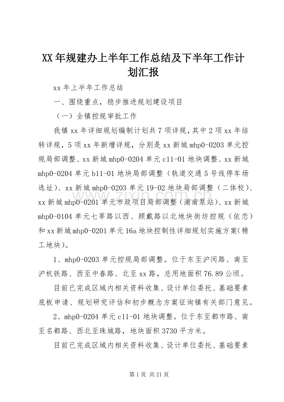 XX年规建办上半年工作总结及下半年工作计划汇报.docx_第1页