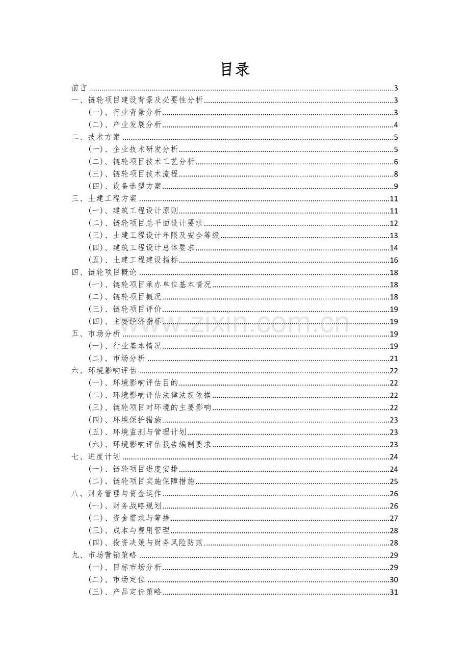 链轮项目可行性分析报告.docx_第2页