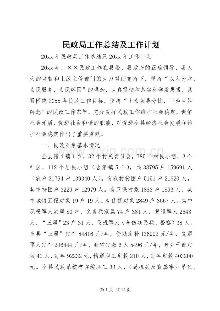 民政局工作总结及工作计划.docx_第1页