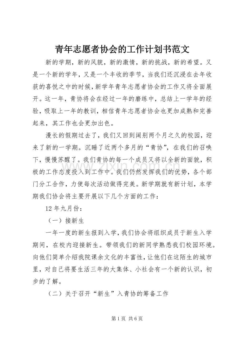 青年志愿者协会的工作计划书范文.docx_第1页