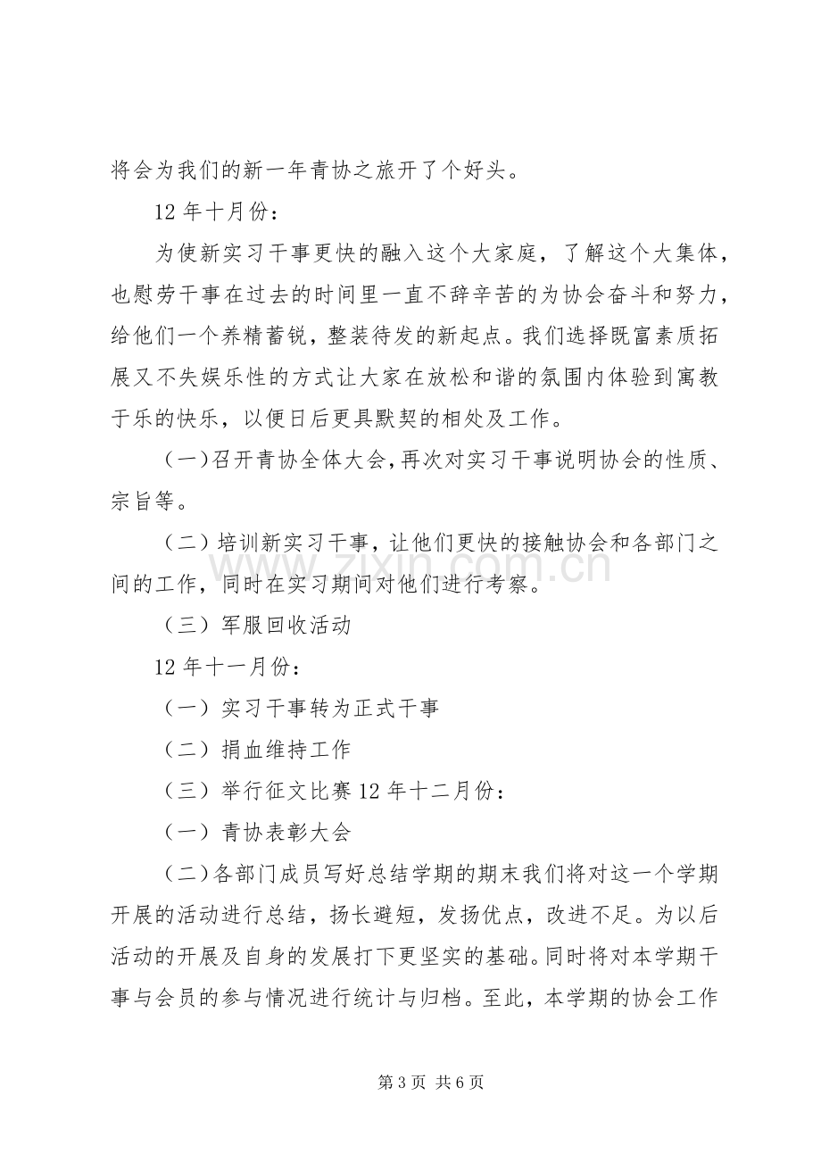 青年志愿者协会的工作计划书范文.docx_第3页