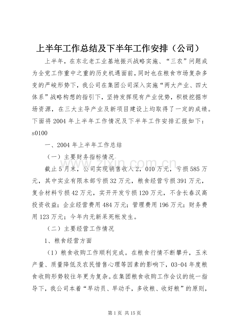 上半年工作总结及下半年工作安排（公司）.docx_第1页