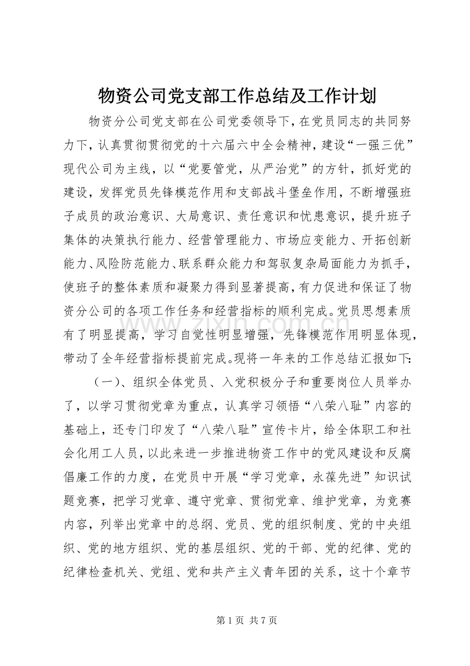 物资公司党支部工作总结及工作计划.docx_第1页