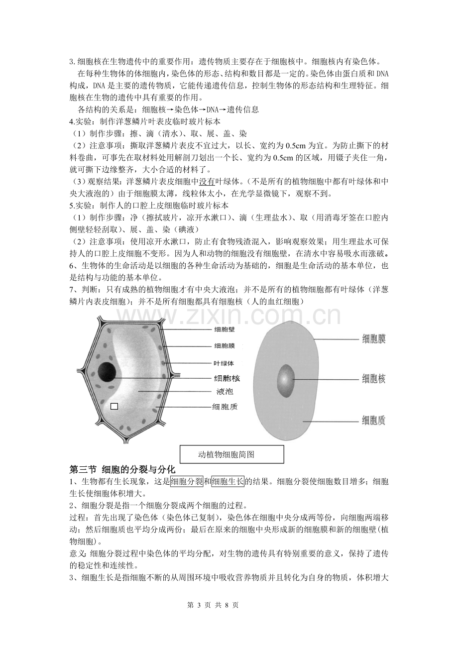 苏教版七年级生物第一学期期末考试知识点总结.doc_第3页