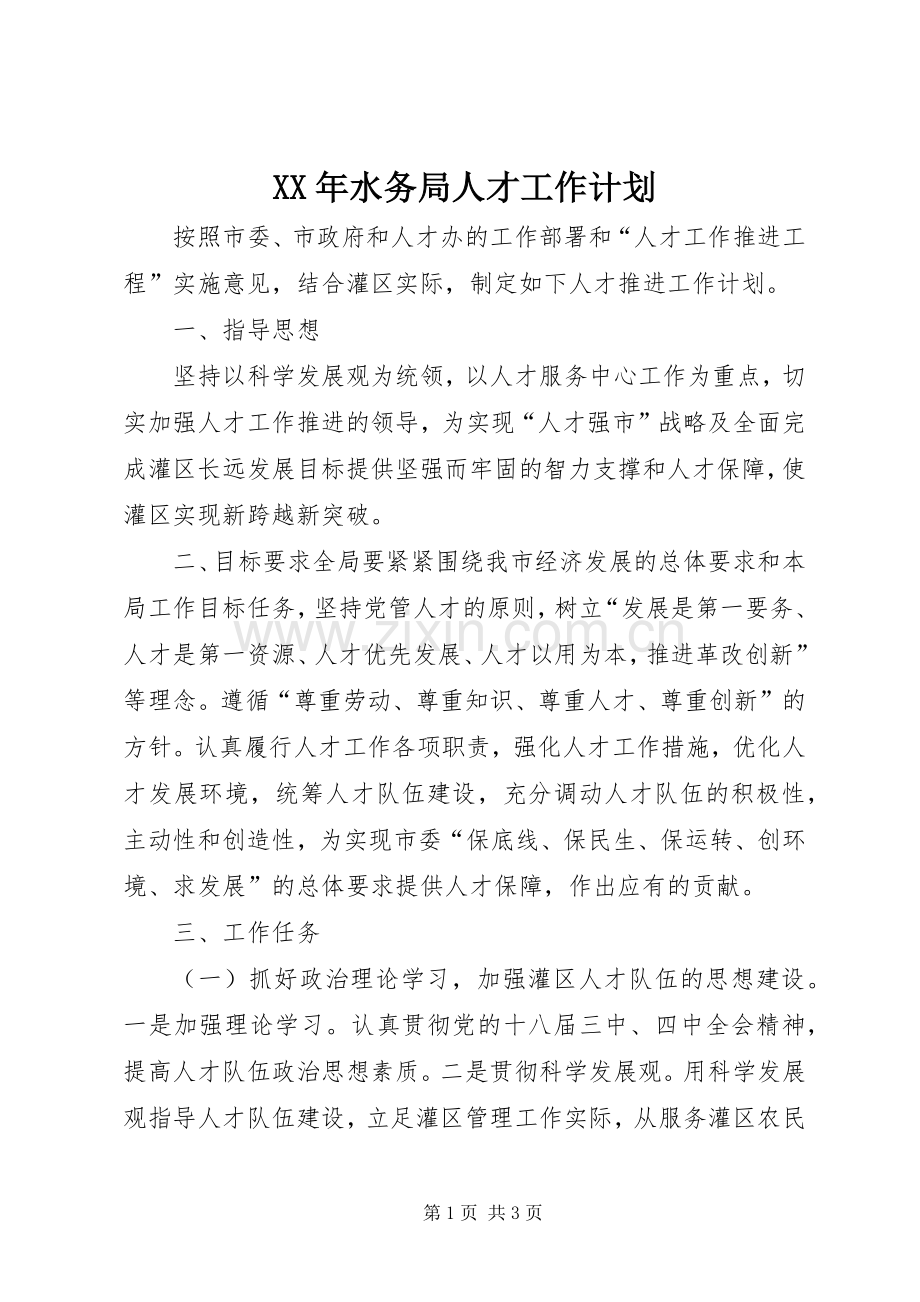 XX年水务局人才工作计划.docx_第1页