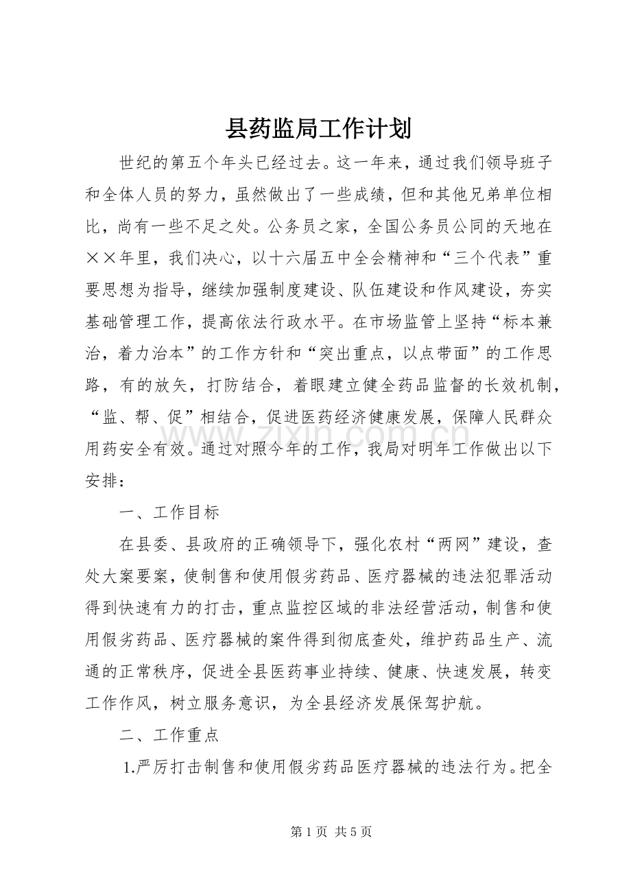 县药监局工作计划.docx_第1页