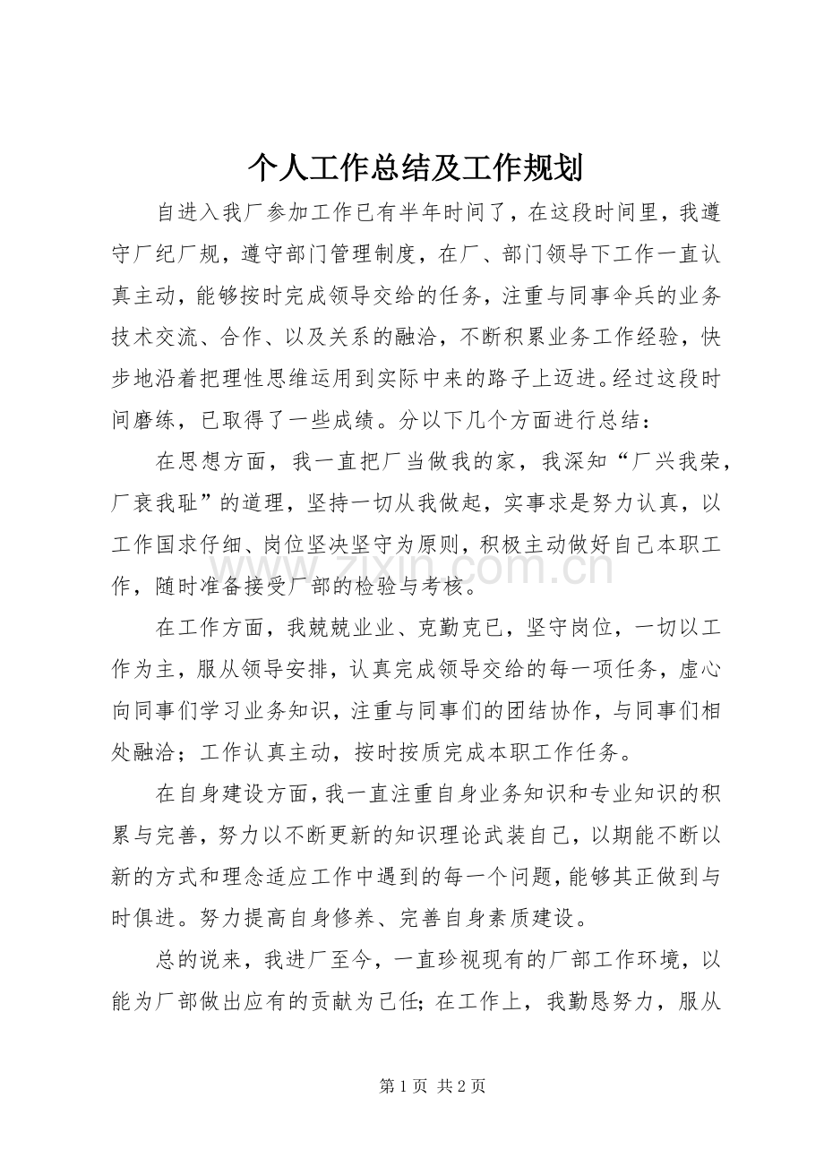 个人工作总结及工作规划.docx_第1页