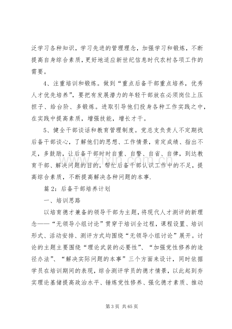 后备干部培养计划优选20篇.docx_第3页