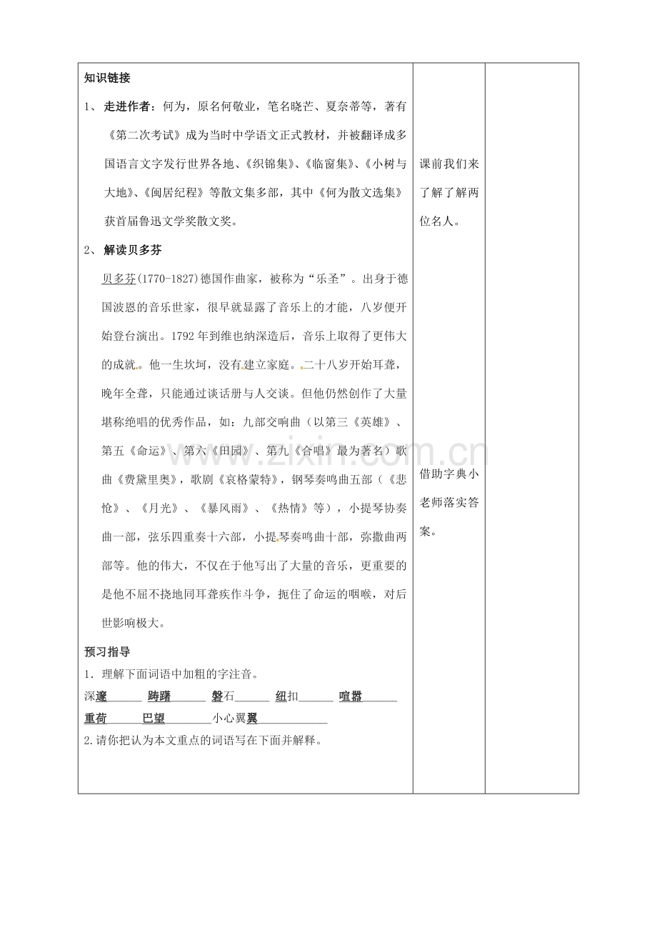 湖南省城金海双语实验学校七年级语文《音乐巨人贝多芬》教案.doc_第2页