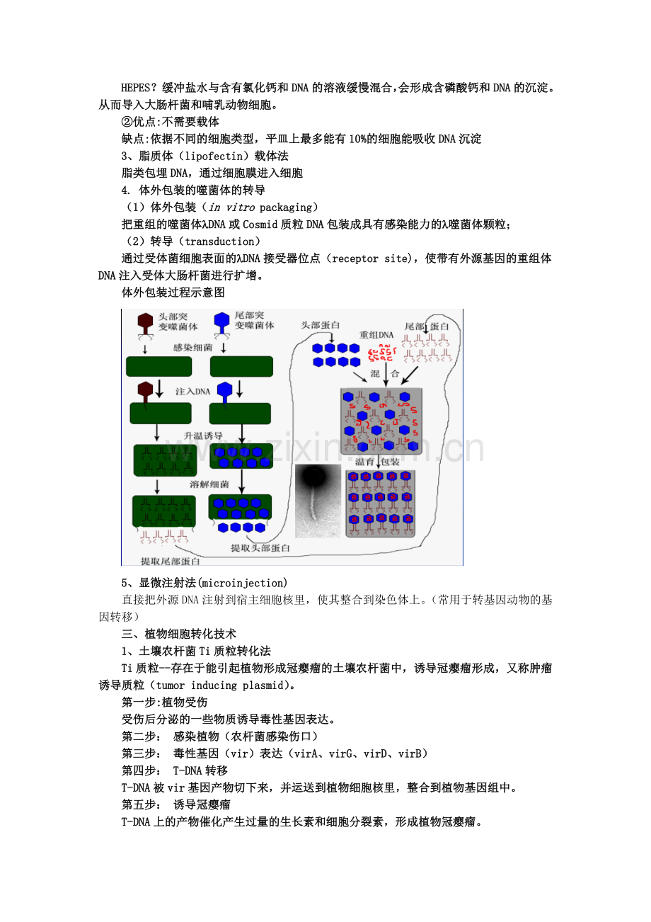 食品生物技术.doc_第2页