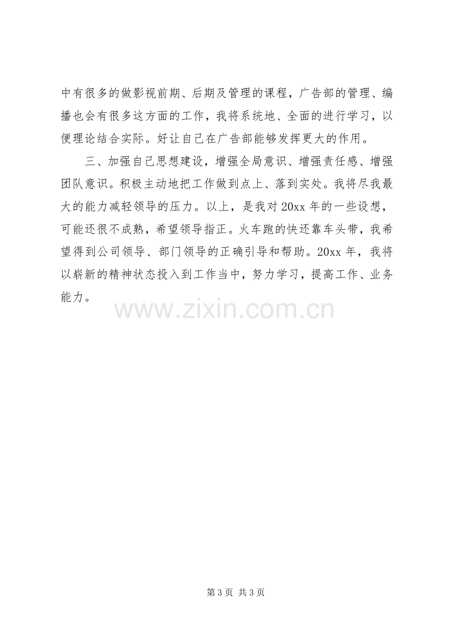 XX年公司个人工作计划.docx_第3页