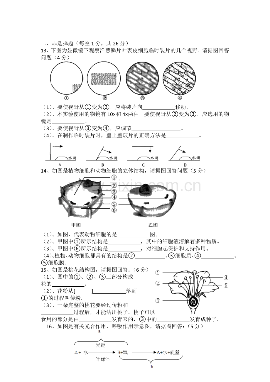 2017下七年级生物联考试卷.doc_第2页