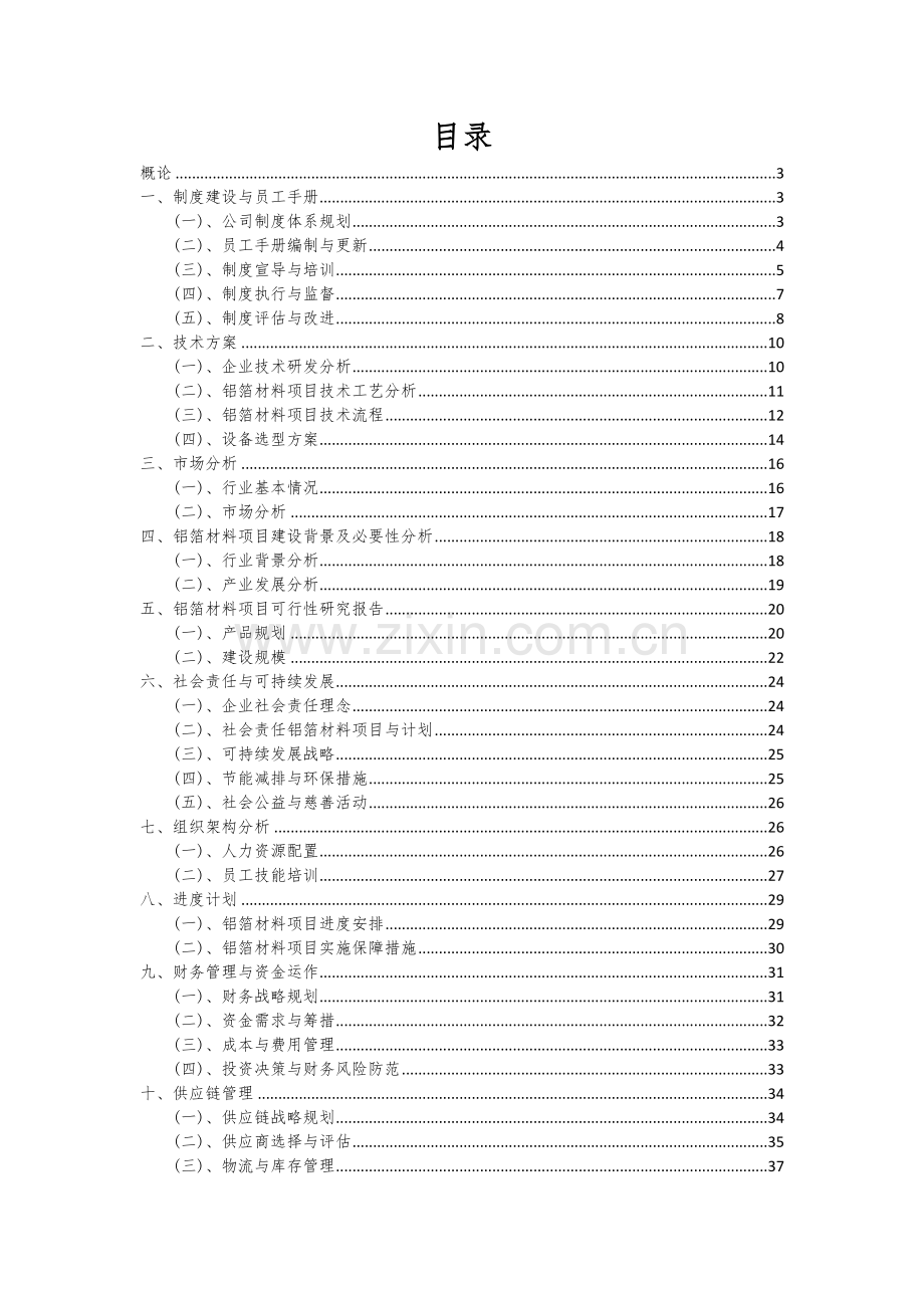 铝箔材料项目可行性研究报告.docx_第2页