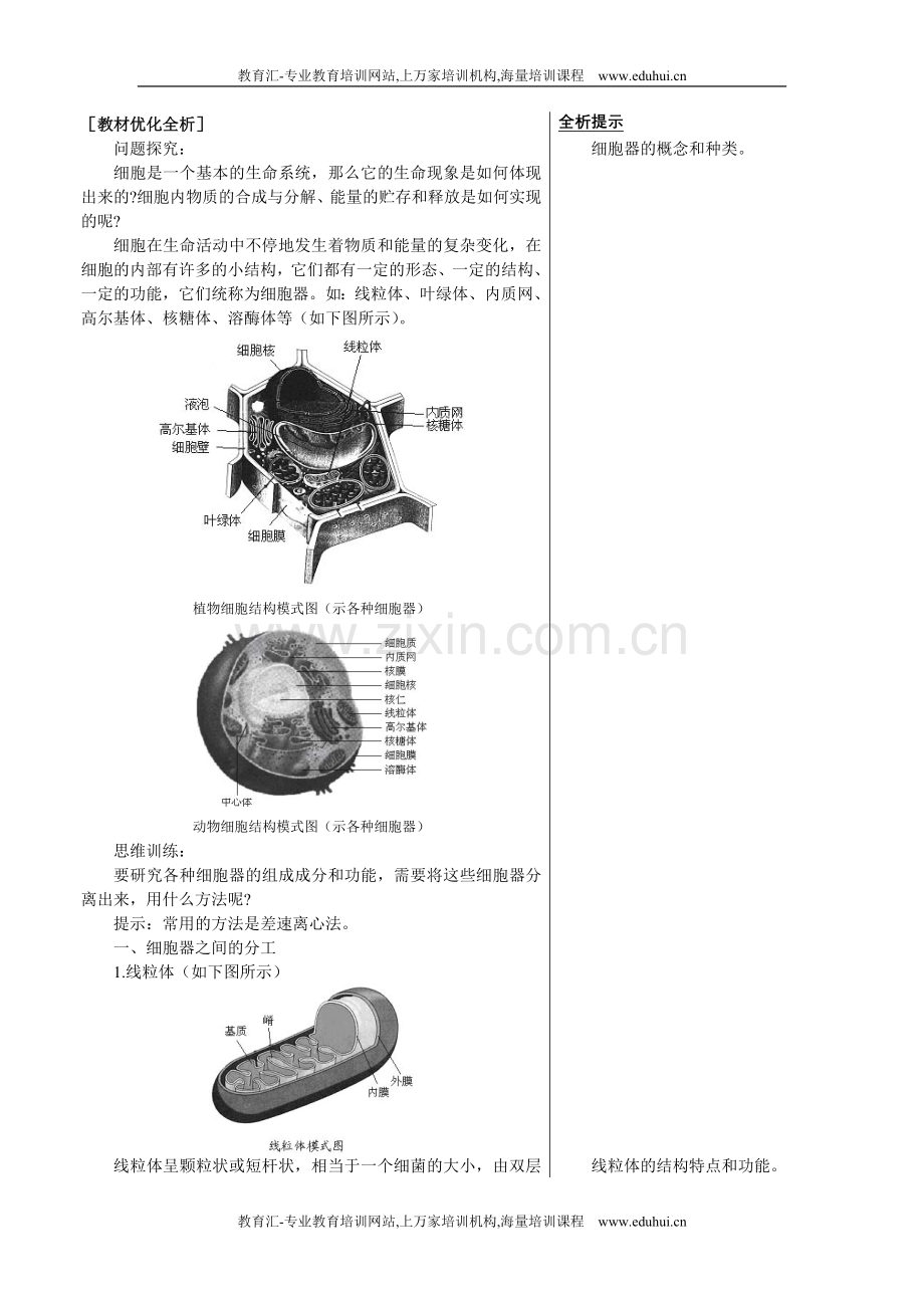 人教新课标高中生物必修一章节知识要点（细胞器——系统内的分工合作）.doc_第1页