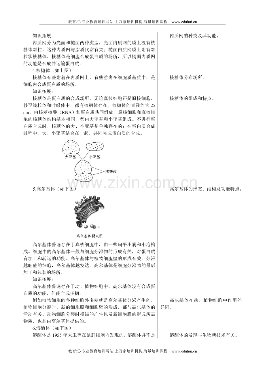 人教新课标高中生物必修一章节知识要点（细胞器——系统内的分工合作）.doc_第3页