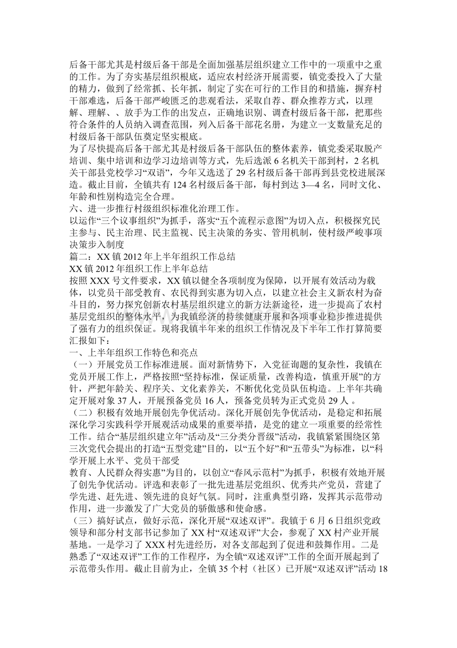 乡镇半年组织工作总结.docx_第3页