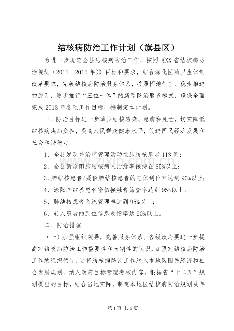 结核病防治工作计划（旗县区）_1.docx_第1页