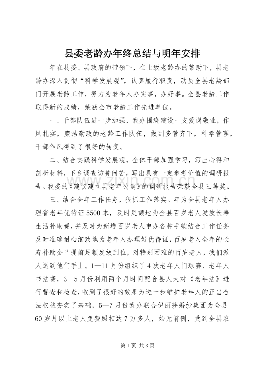 县委老龄办年终总结与明年安排.docx_第1页