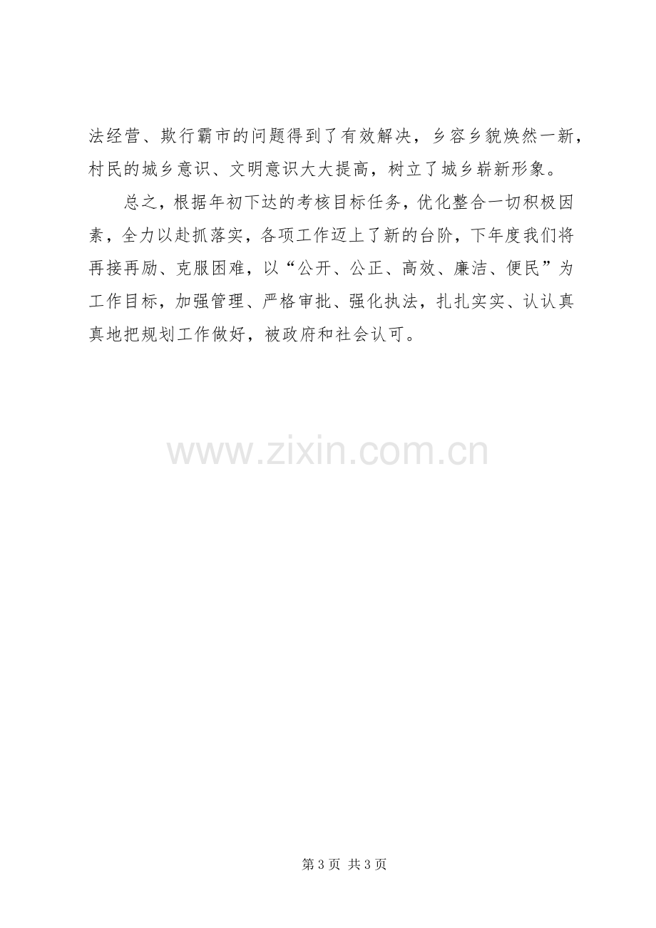 乡XX年度规划工作总结.docx_第3页