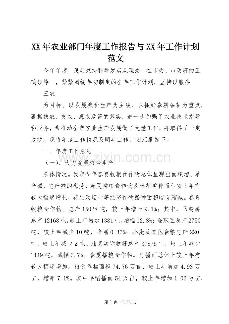 XX年农业部门年度工作报告与XX年工作计划范文.docx_第1页