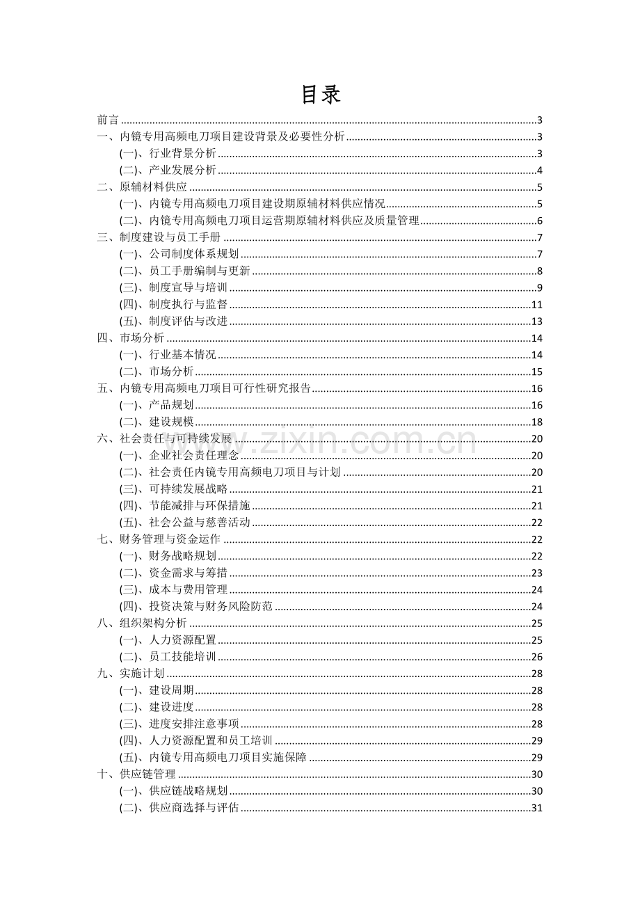 内镜专用高频电刀项目可行性研究报告.docx_第2页