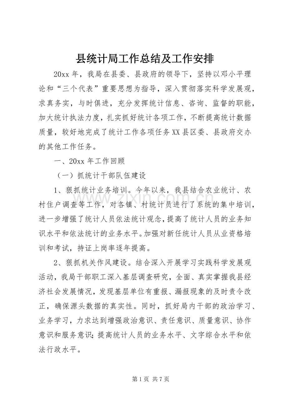 县统计局工作总结及工作安排.docx_第1页