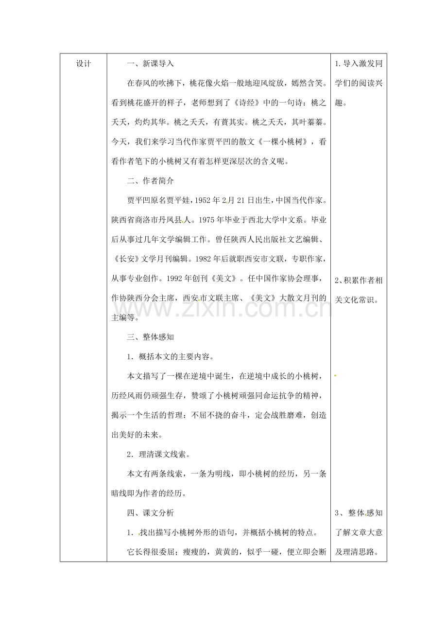 陕西省石泉县七年级语文下册 第五单元 18一颗小桃树教案 新人教版-新人教版初中七年级下册语文教案.doc_第2页