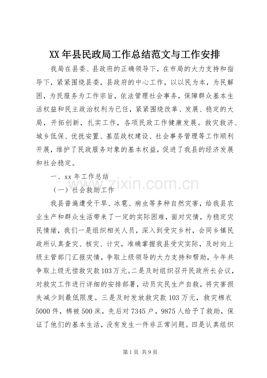 XX年县民政局工作总结范文与工作安排.docx_第1页