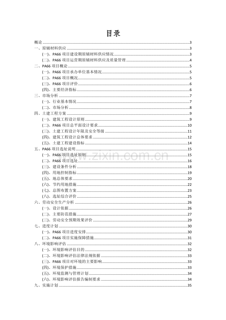 PA66项目可行性研究报告.docx_第2页