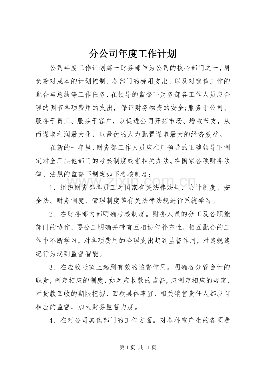 分公司年度工作计划.docx_第1页