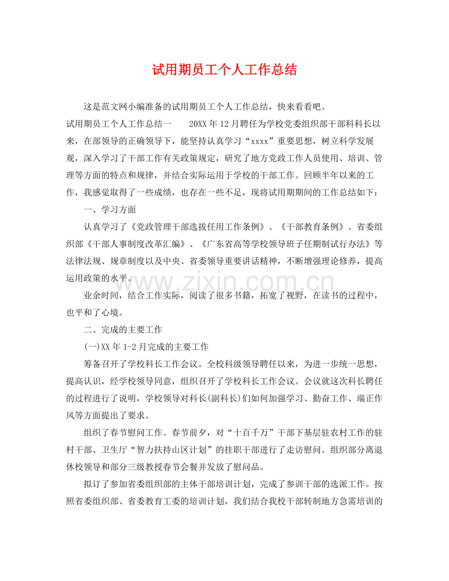 试用期员工个人工作总结 .docx_第1页