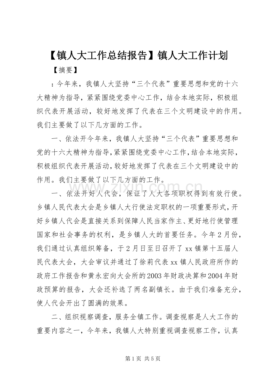 【镇人大工作总结报告】镇人大工作计划.docx_第1页