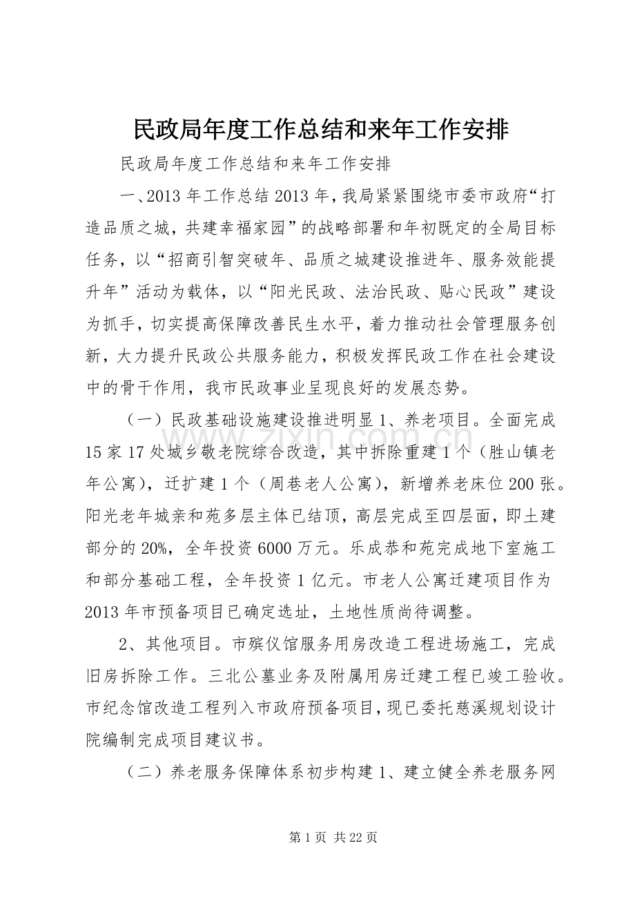 民政局年度工作总结和来年工作安排 .docx_第1页