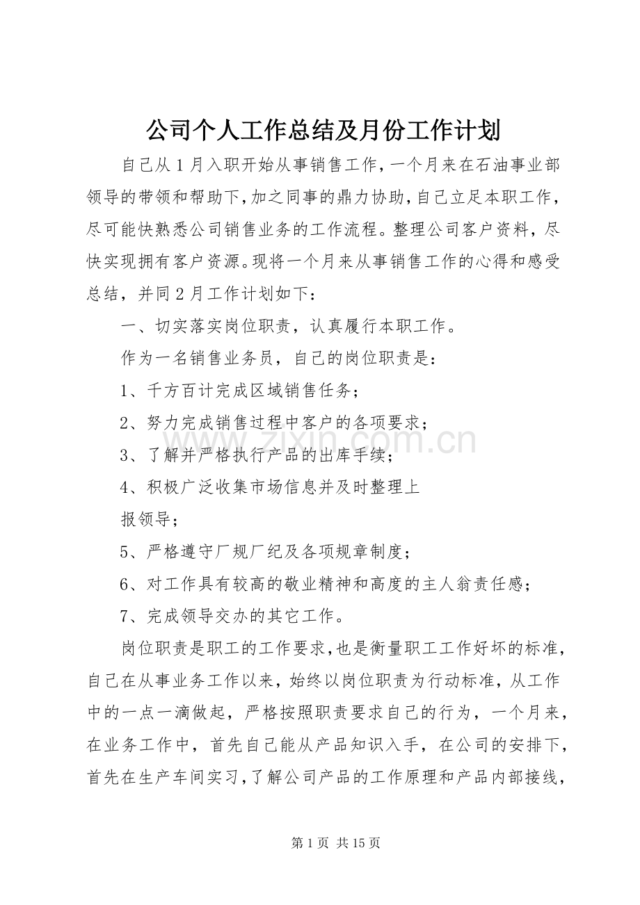 公司个人工作总结及月份工作计划.docx_第1页