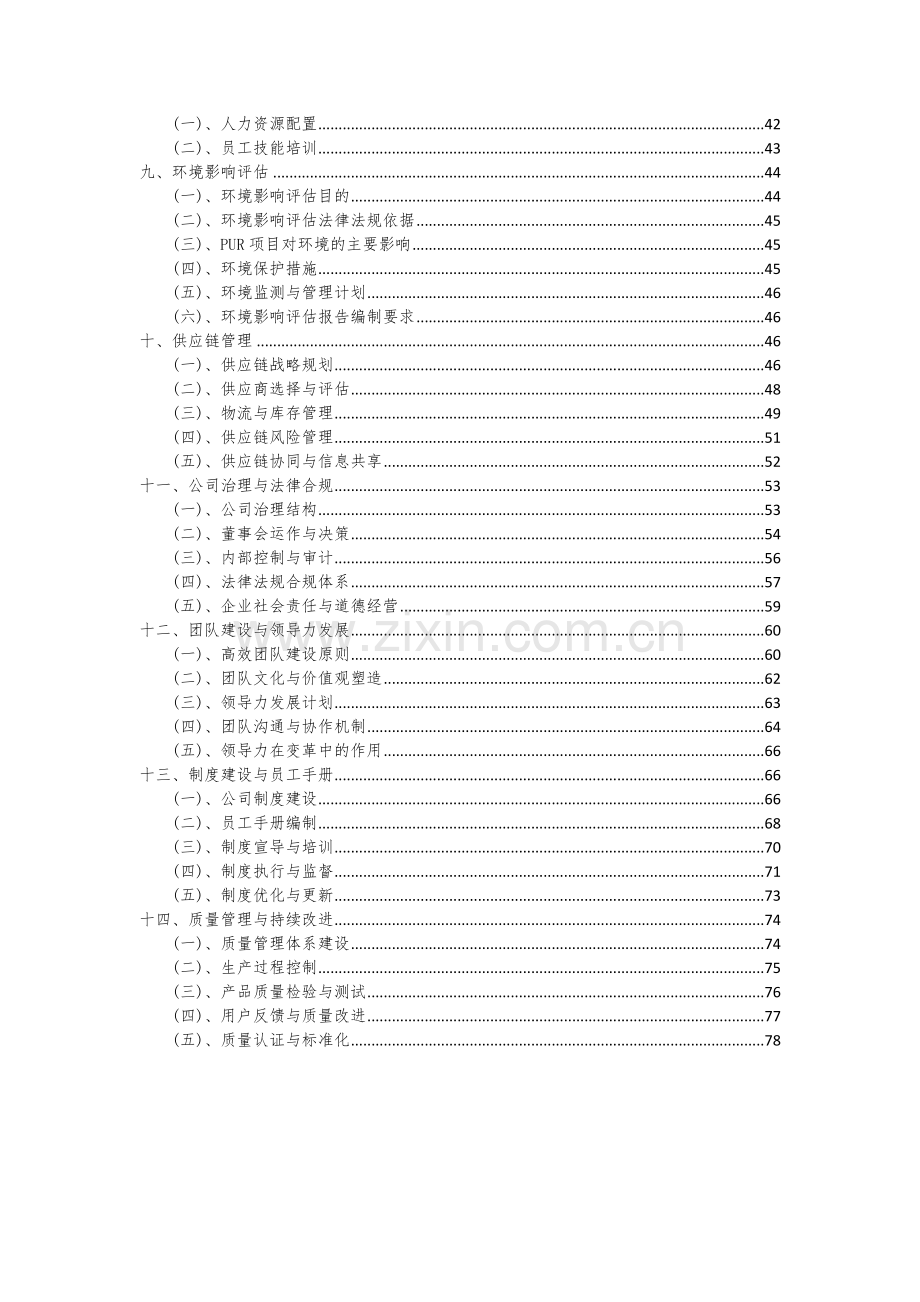 PUR项目可行性分析报告.docx_第3页