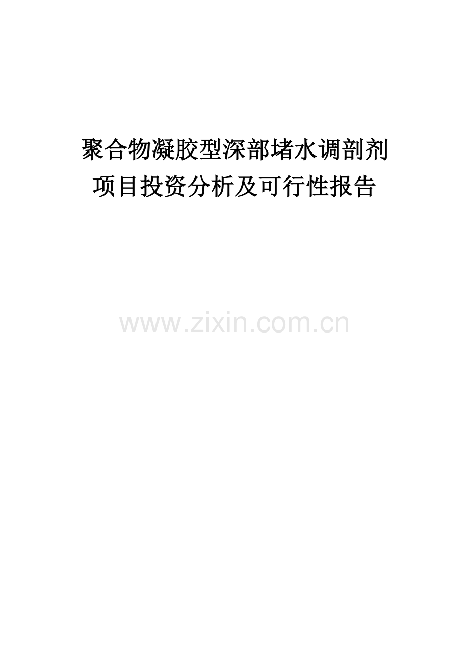 聚合物凝胶型深部堵水调剖剂项目投资分析及可行性报告.docx_第1页