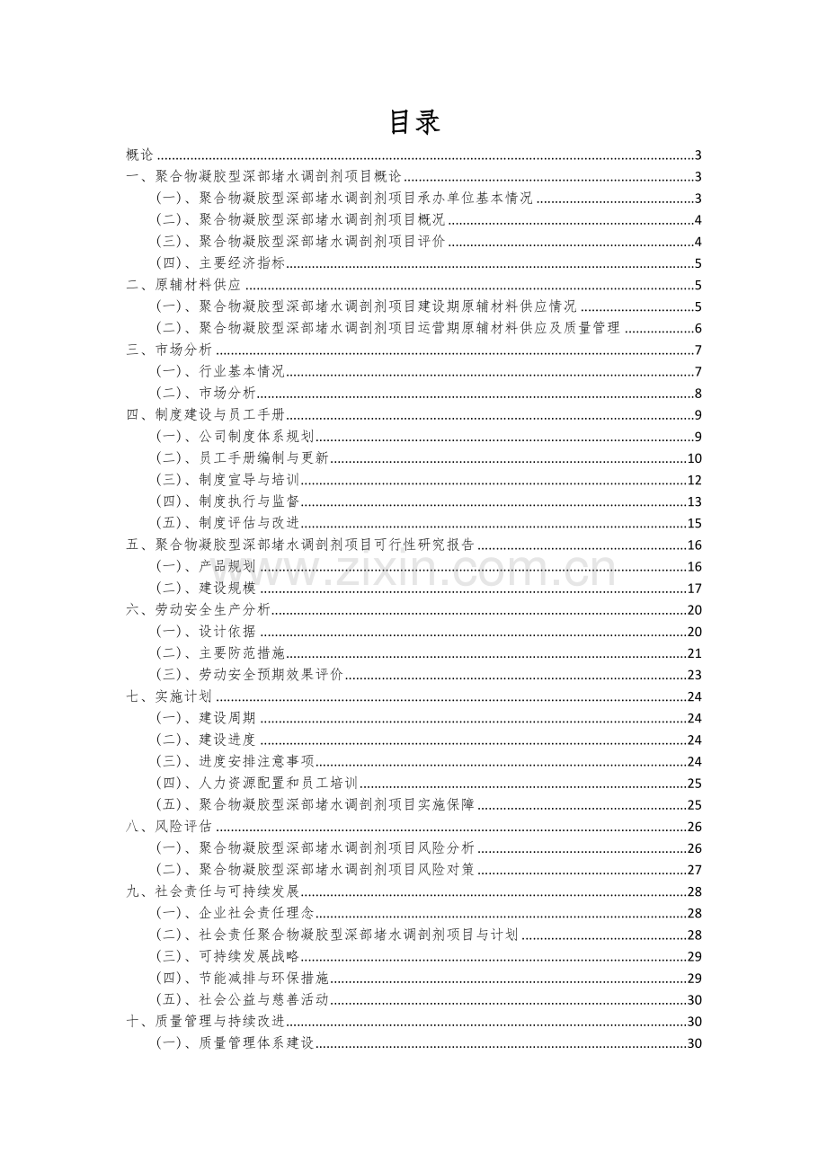 聚合物凝胶型深部堵水调剖剂项目投资分析及可行性报告.docx_第2页