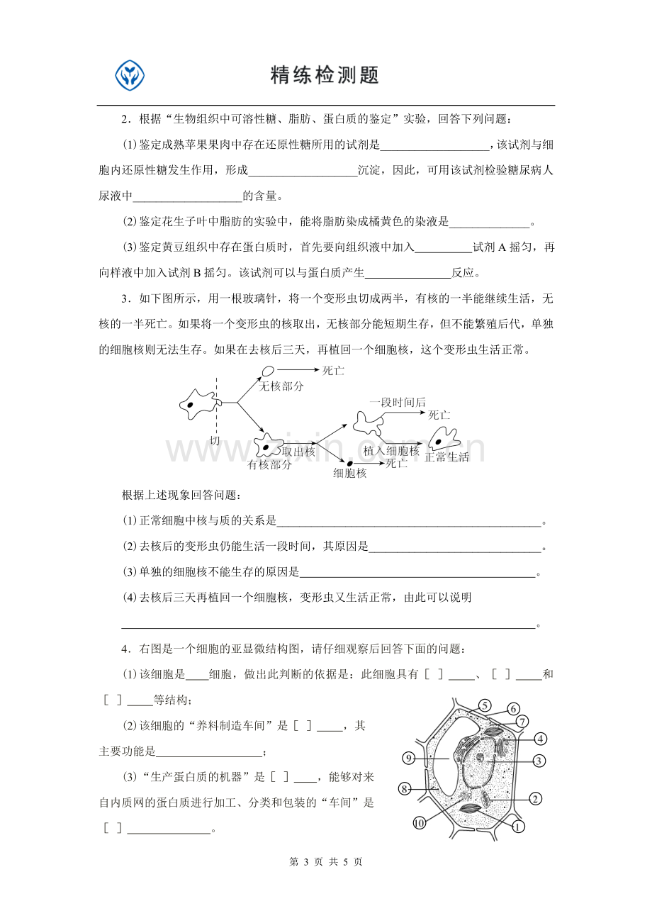 人教高一生物必修一期中习题.doc_第3页