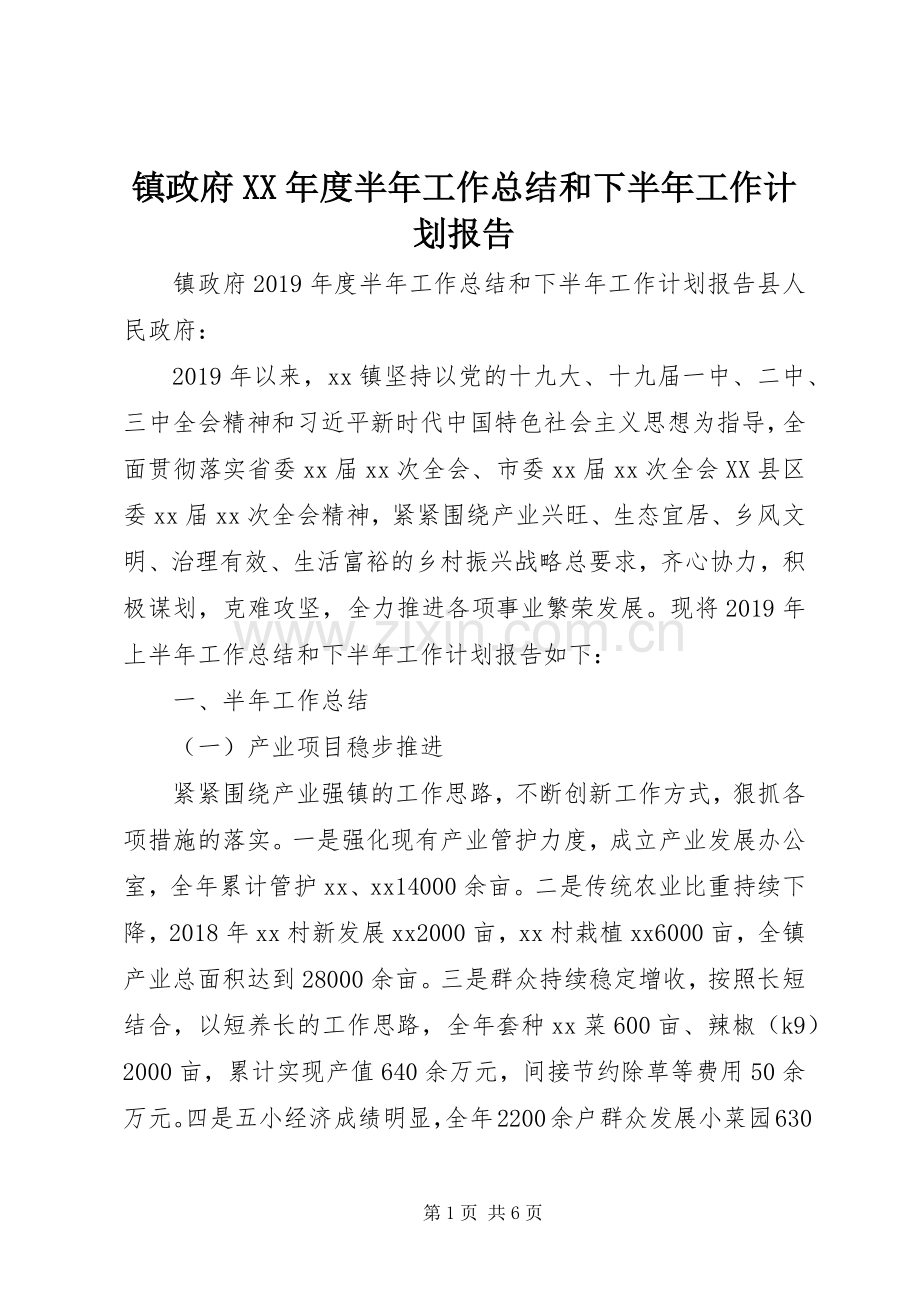 镇政府XX年度半年工作总结和下半年工作计划报告.docx_第1页