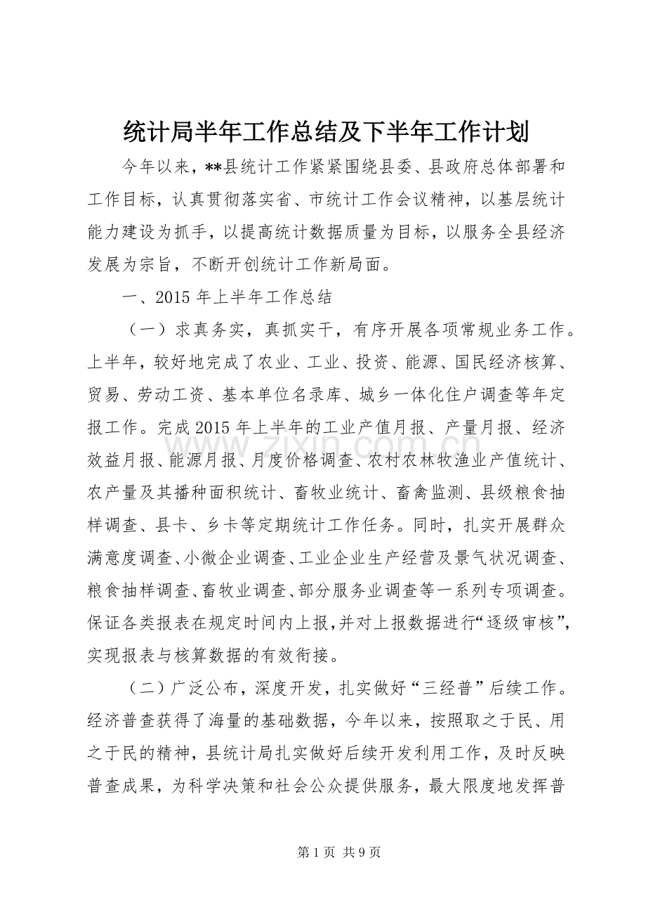 统计局半年工作总结及下半年工作计划_1.docx_第1页