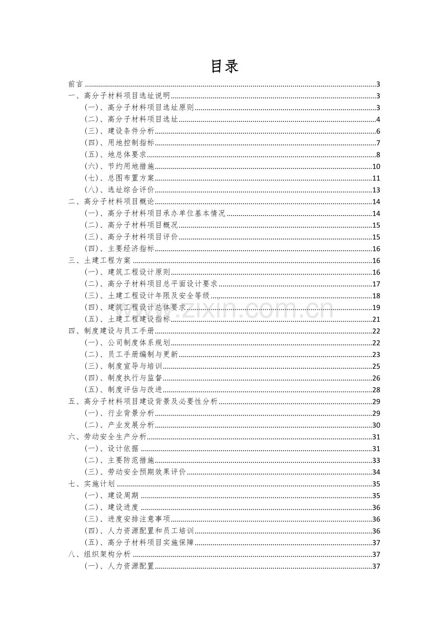 高分子材料项目可行性研究报告.docx_第2页