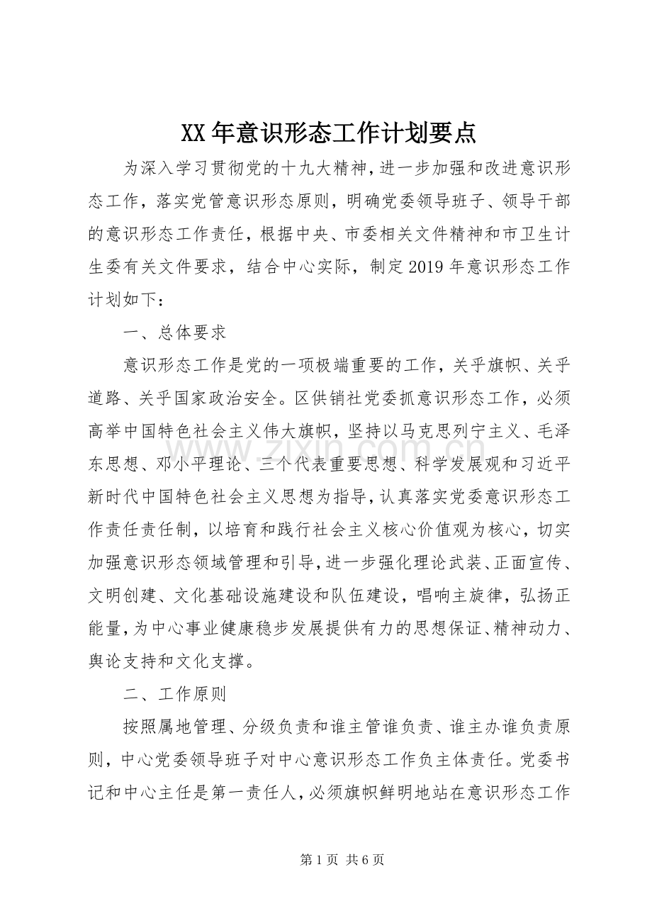 XX年意识形态工作计划要点.docx_第1页