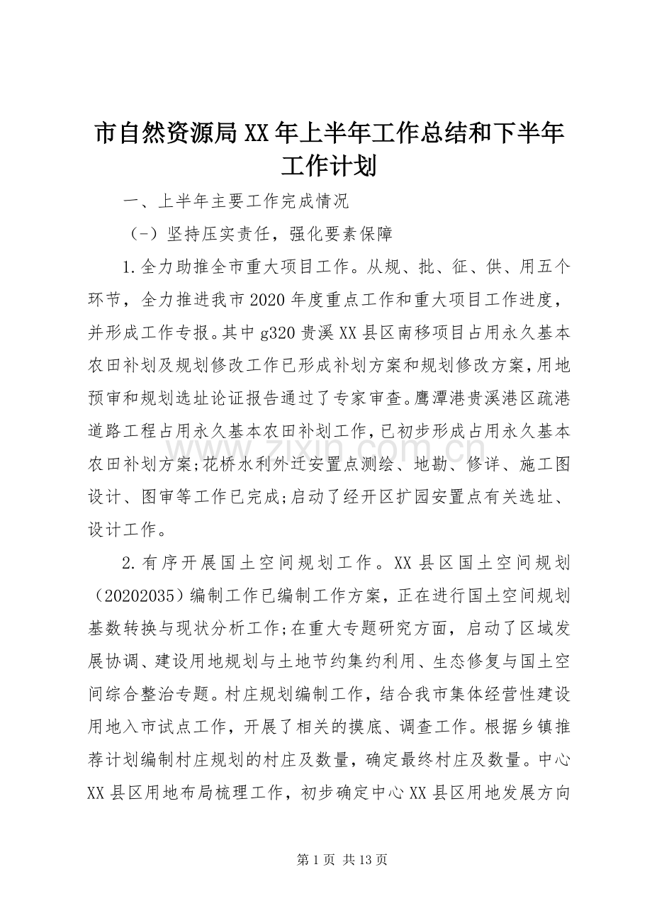 市自然资源局XX年上半年工作总结和下半年工作计划.docx_第1页